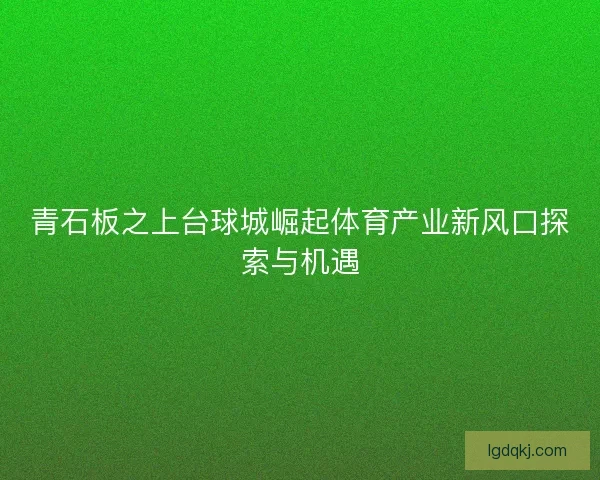 青石板之上台球城崛起体育产业新风口探索与机遇