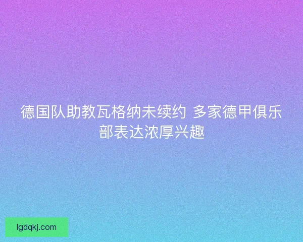 德国队助教瓦格纳未续约 多家德甲俱乐部表达浓厚兴趣