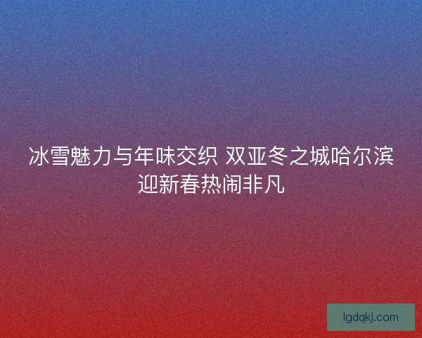 冰雪魅力与年味交织 双亚冬之城哈尔滨迎新春热闹非凡