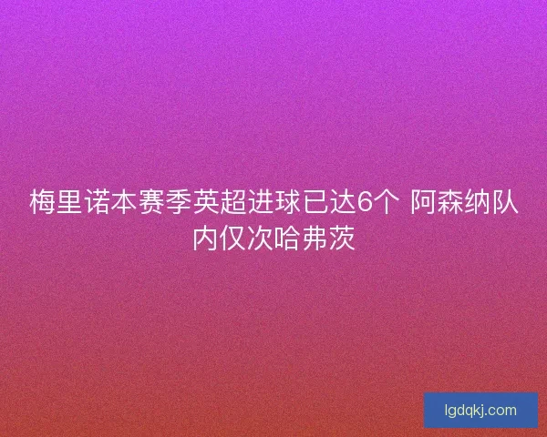 梅里诺本赛季英超进球已达6个 阿森纳队内仅次哈弗茨