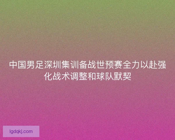 中国男足深圳集训备战世预赛全力以赴强化战术调整和球队默契 中国男足深圳集训备战世预赛全力以赴强化战术调整和球队默契